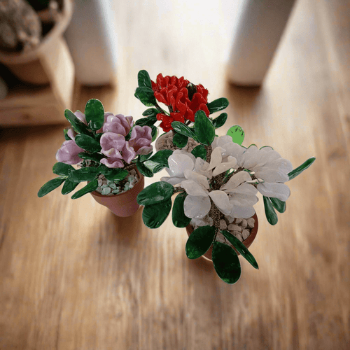 Azalea - MantoanMurano