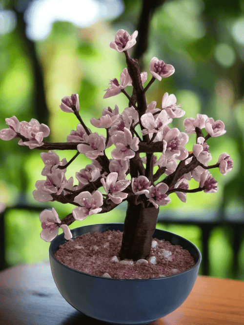 Bonsai di pesco - MantoanMurano