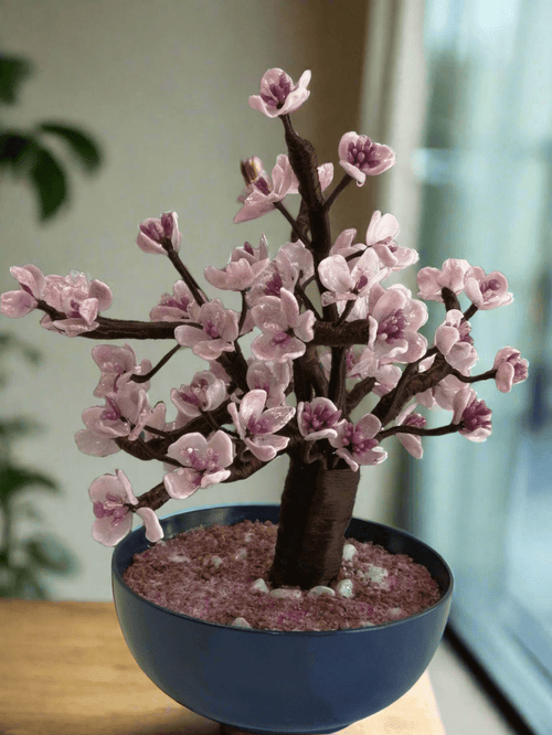 Bonsai di pesco - MantoanMurano