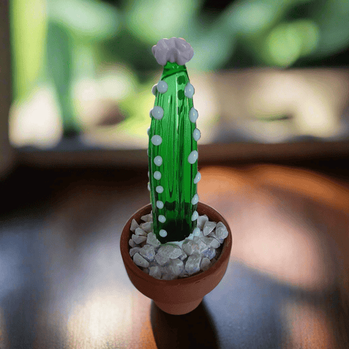 Cleistocactus - MantoanMurano