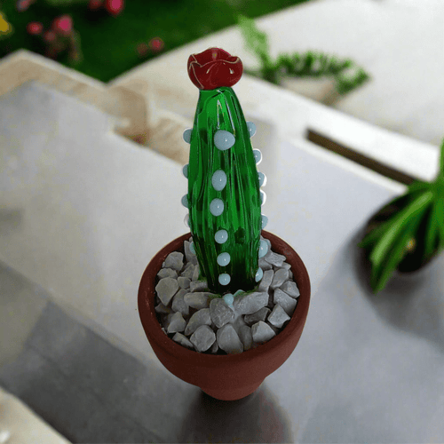 Cleistocactus - MantoanMurano