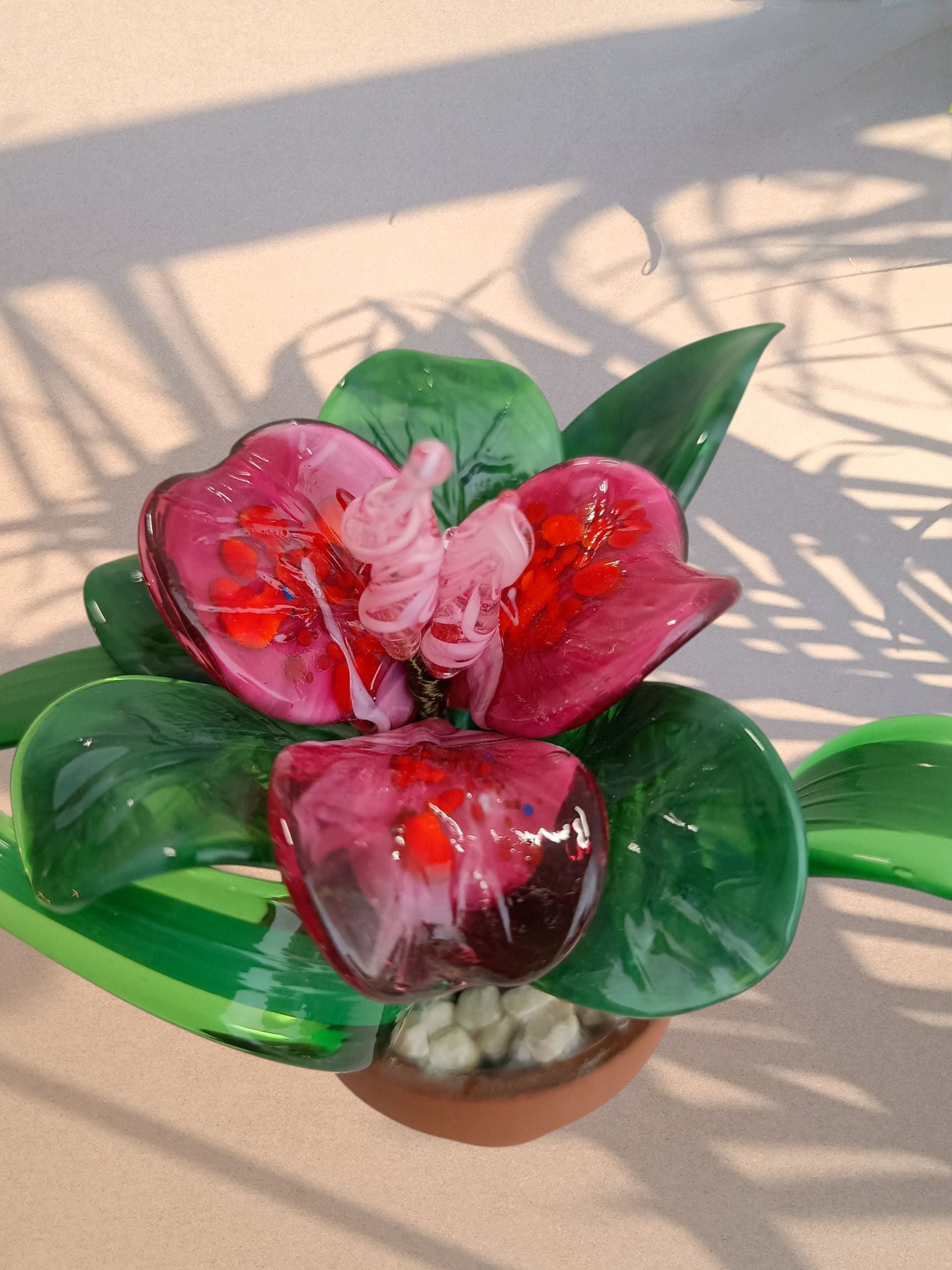 Fuxia – Piantina tropicale in vetro di Murano - MantoanMurano